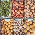 Foires et marchés Argentat sur Dordogne